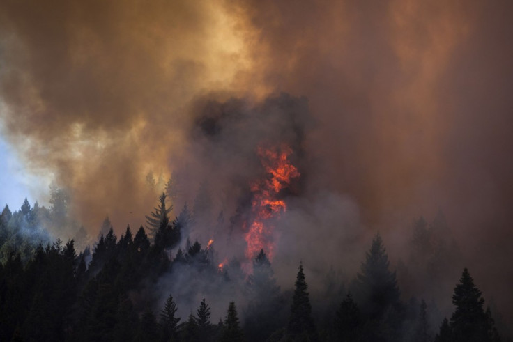 The continued activity of Rim Fire has raised safety concerns for firefighters adjacent to the fire’s edge. (Photo: Reuters)