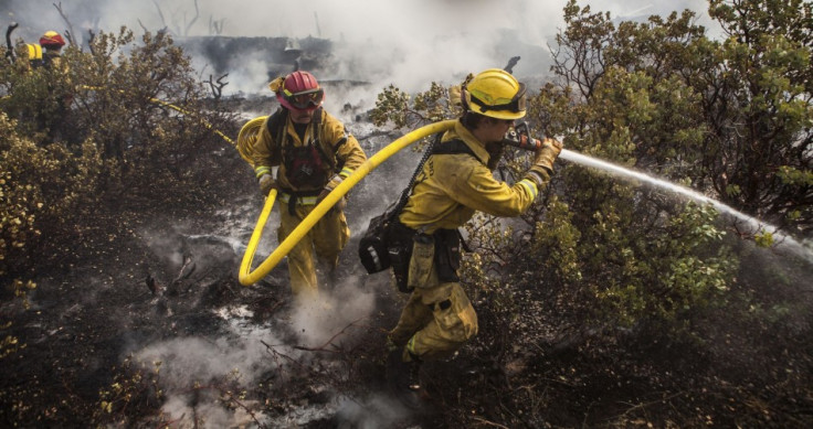 A firefighting crew puts out a spot fire that jumped a fire line in Yosemite National Park. (Photo: Reuters)