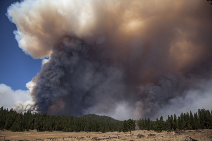 The Rim Fire continues to grow out of control near Yosemite National Park, California, prompting evacuation advisories in nearby areas and forcing tourists to flee. (Photo: Reuters)