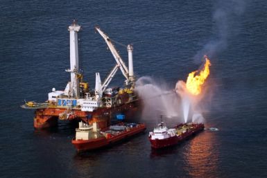 The Deepwater Horizon oil spill in the Gulf of Mexico