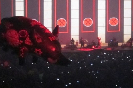 A picture of the wild pig from the performance