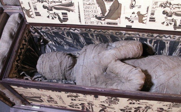 The body was discovered by 10-year-old Alexander Kettler last month (Lutz-Wolfgang Kettler) The body was discovered by 10-year-old Alexander Kettler last month (Lutz-Wolfgang Kettler)