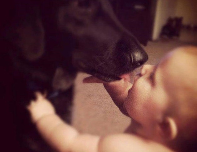 The bond between baby Finn and pooch Killian stopped abuse by nanny Alexis Khan PIC: Facebook The bond between baby Finn and pooch Killian stopped abuse by nanny Alexis Khan PIC: Facebook