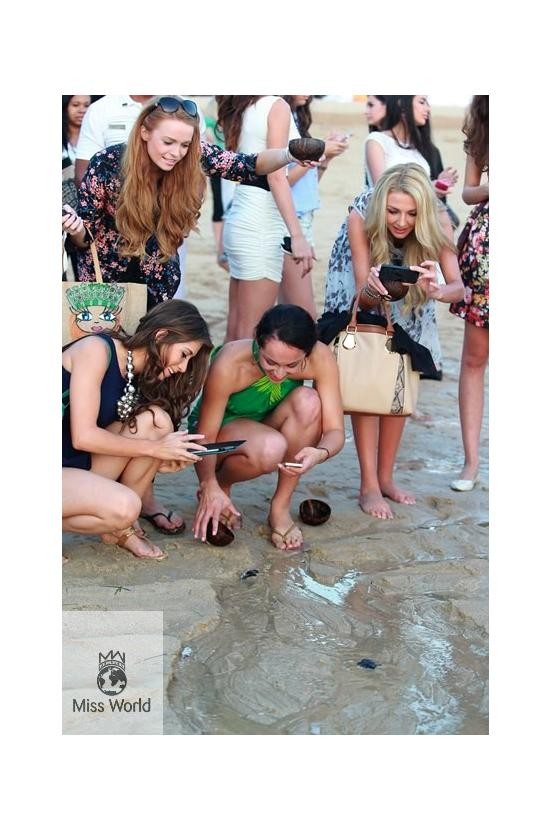 Miss World contestants examine baby turtles before they are released into the wild.