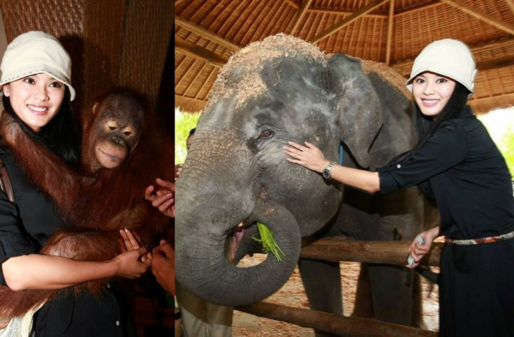 Miss World China, Wei Wei Yu, gets comfortable with animals at the Park. (Photo: Miss World Organisation)