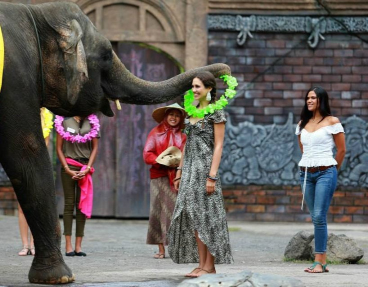 Miss World Peru gets welcome garland from an elephant. (Photo: Miss World Organisation)