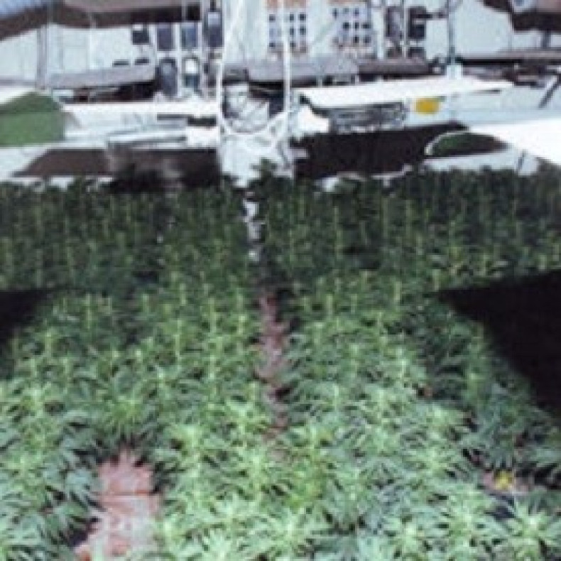 One of the couple's cannabis factories in Kent (Kent Police)