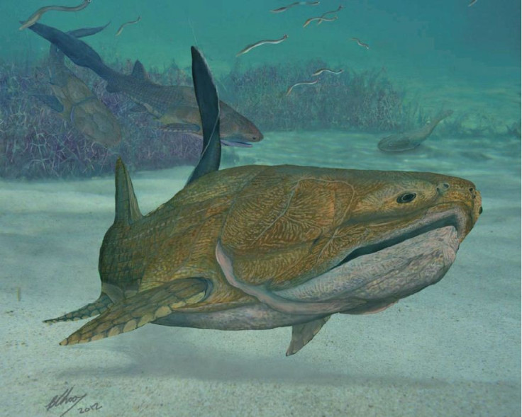 An artist's illustration depicts Entelognathus primordialis, the first jawed creature on earth. A new study reveals that Entelognathus had jawbones similar to those of modern fish from which humans evolved. (Photo: BRIAN CHOO/Nature.com)