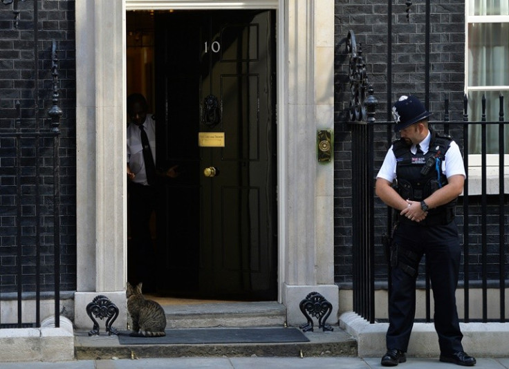 Larry the Downing Street cat