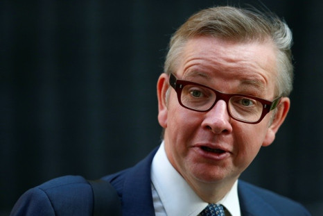 Education secretary Michael Gove