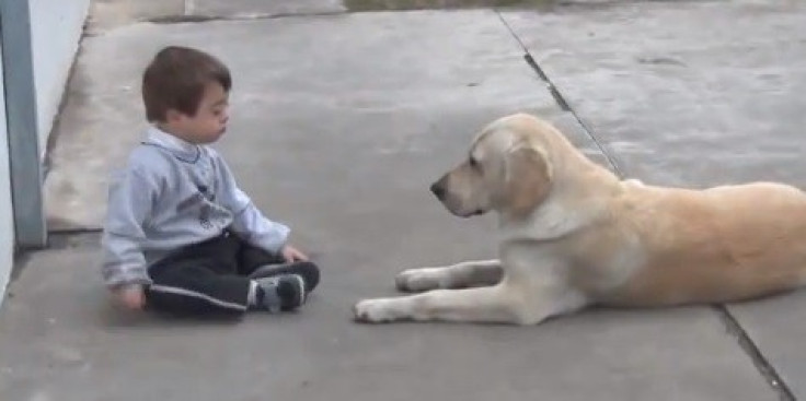 Toddler and dog