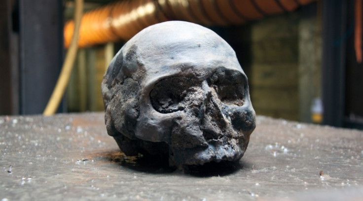 A Roman skull which was found at Liverpool Street ticket hall during Crossrail project's excavation. (Photo: ©Crossrail Ltd 2013)