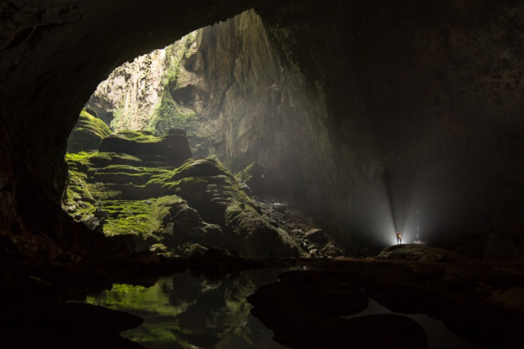 The Son Doong Cave in Vietnam has a world of its own comprising of a forest, a river and a complete ecosystem. (Photo: Oxalis)