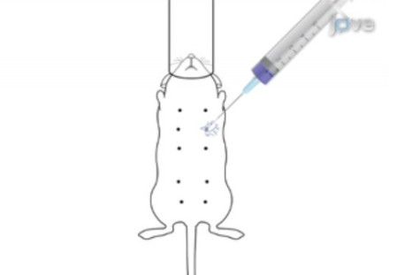 nipple injections