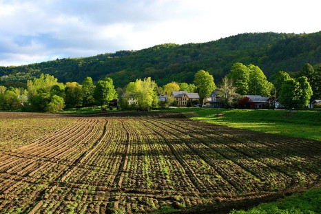 Farming