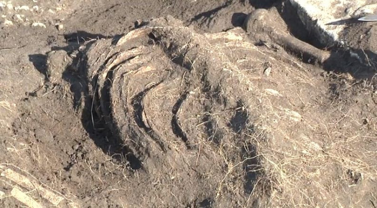 An ancient fort on the island of Öland, Sweden, was once the scene of a terrible massacre, archaeologists from Lund University reveal. (Photo: YouTube Video Screenshot/LundUniversity)