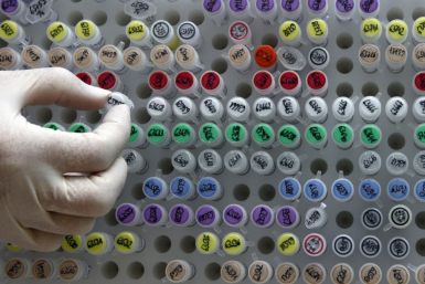 Human DNA samples in a laboratory in Munich.