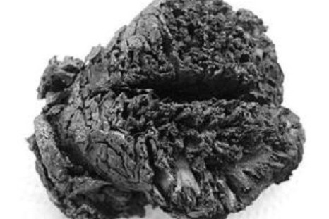 Boiled brains