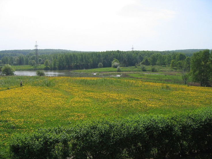 Woman's mutilated body was found in Bitsevsky Park  PIC: Wikicommons