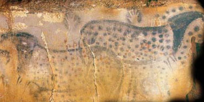 Female Artists Responsible For Majority Of Prehistoric Cave Paintings   Four Of The Six Black Hand Stencils Associated With The Spotted Horse Mural In The Prehistoric Pech Merle Cave In France Were Made My Females According To A Study Photo Dean Snow Pennsylvania State University 