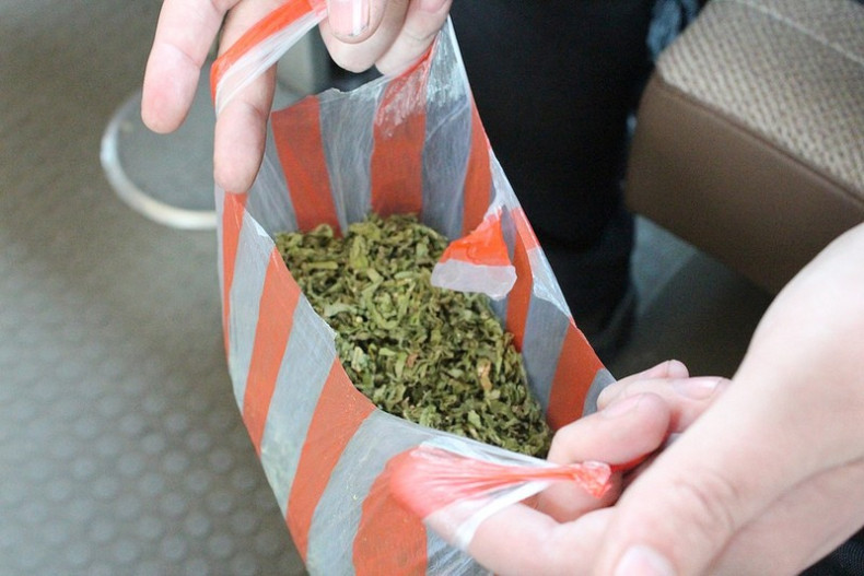 The writer said the bag of cannabis cost around 50p (Darmon Richter at The Bohemian Blog)