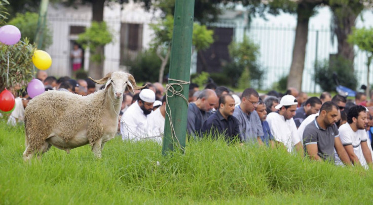 Eid al-Adha 2014