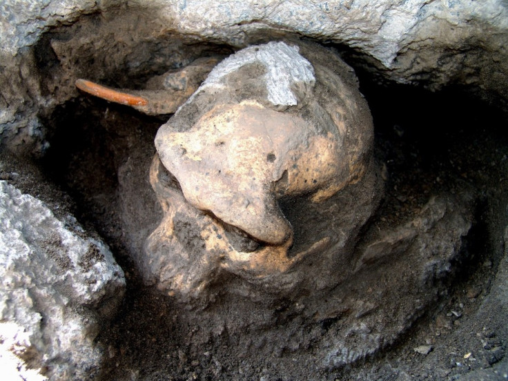 Dmanisi skull