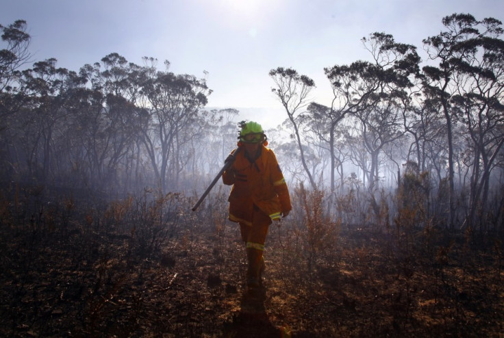 firefighter NSW