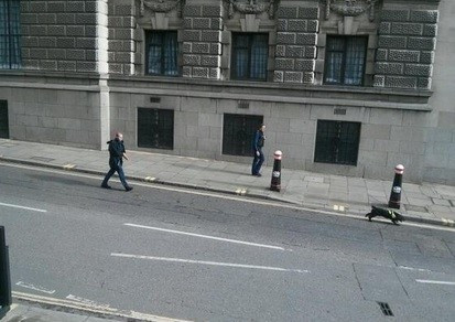 sniffer dogs