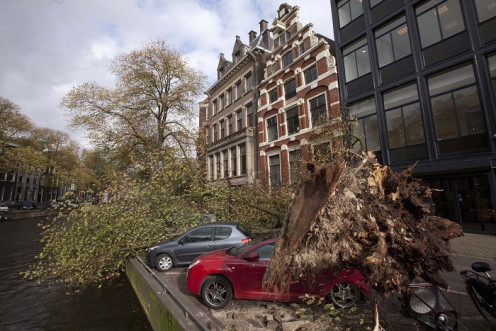A tree that fell on and killed a woman is seen next to the Herengracht canal in Amsterdam (Reuters)