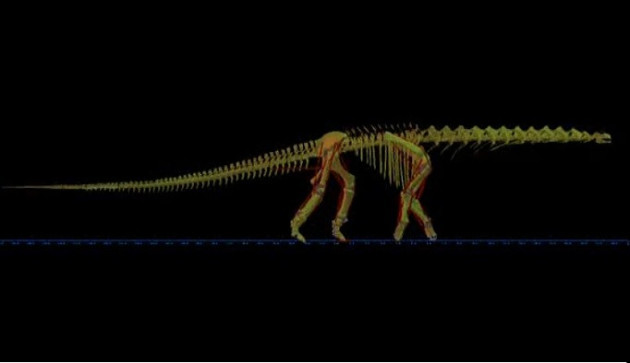 Argentinosaurus walks in never-before-seen images PIC: University of Manchester Argentinosaurus walks in never-before-seen images PIC: University of Manchester