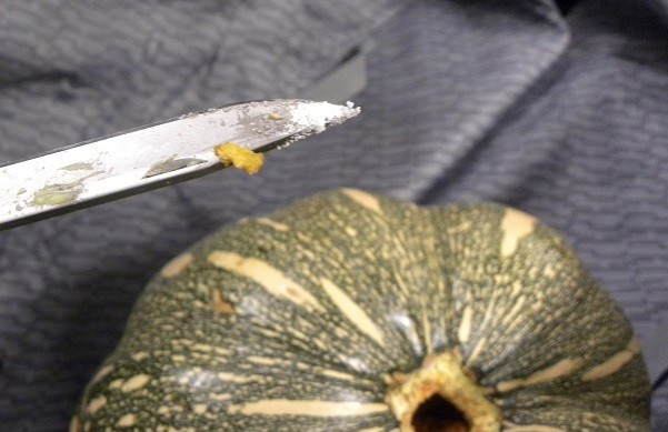 Pumpkins Pumpkins