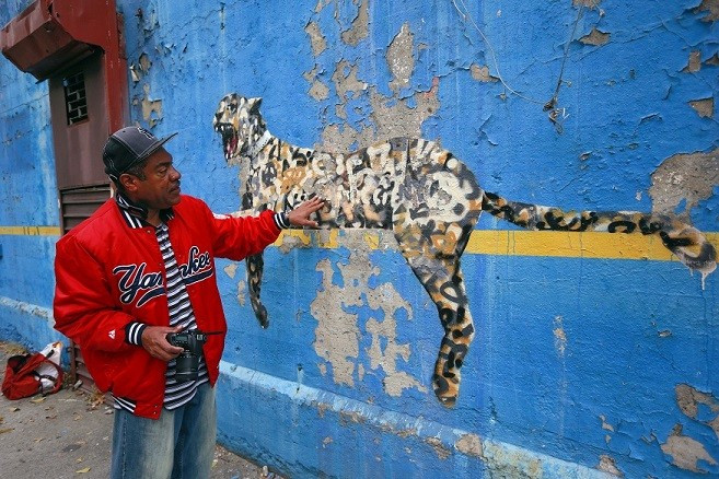 Man touches Banksy work Bronx Zoo near New York Yankees stadium PIC: Reuters