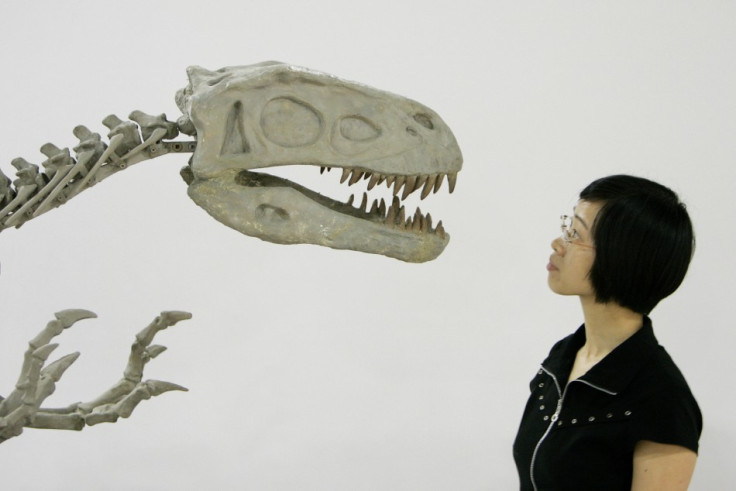 China holds the world record for the most dinosaur egg fossils discovered.