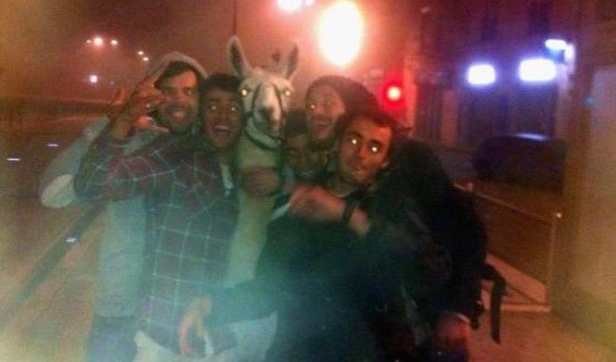 Serge the llama was stolen by the drunk teenagers from a closed down circus (Facebook) Serge the llama was stolen by the drunk teenagers from a closed down circus (Facebook)