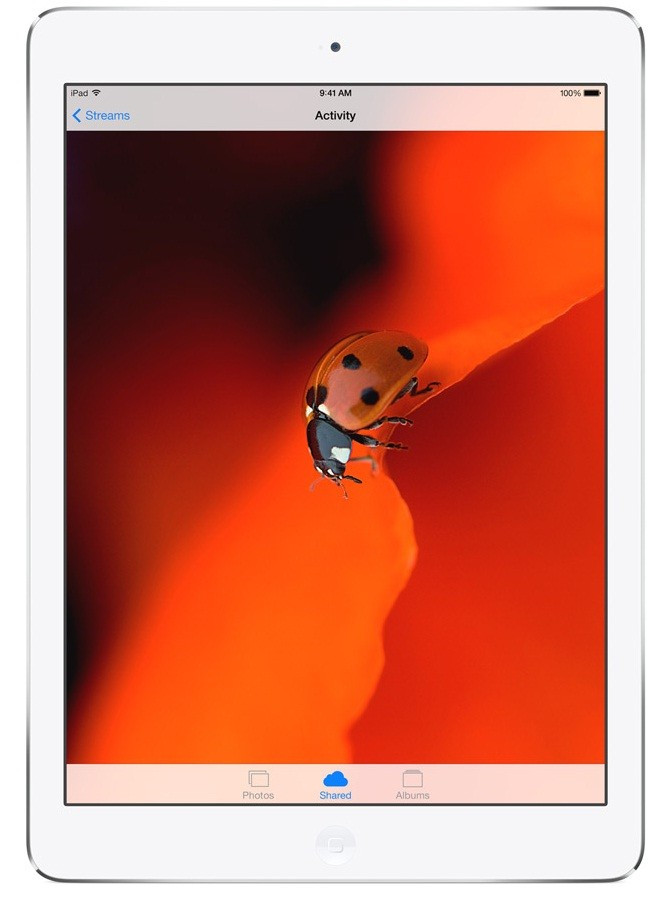 Apple iPad Air