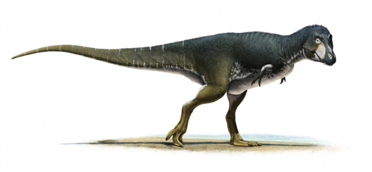 Lythronax