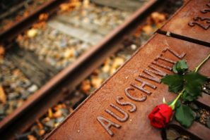 A red rose lies at Gleis 17 (platform 17) holocaust memorial at a former cargo railway station in Berlin-Grunewald November 9, 2006, to mark the Kristallnacht, or Night of Broken Glass (Photo: Reuters)