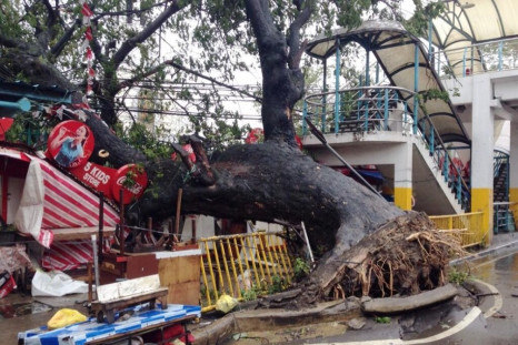 First images of Typhoon Yolanda's destruction