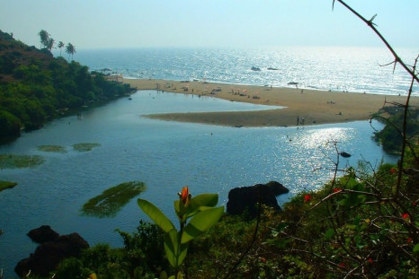 Goan idyll masks seedy underbelly