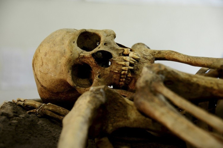 Burundi Skull
