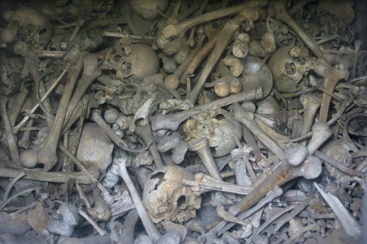 Bones of unknown French and German soldiers at an ossuary near Verdun PIC: Reuters