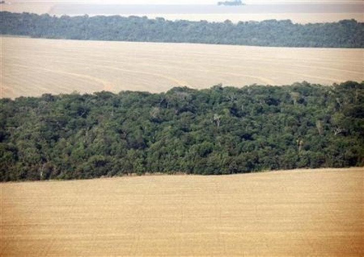 An aerial view of soy plantations flanking the Amazon forest