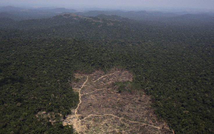 Deforestated area of the Amazon rainforest, where the practice has risen 28% in a year PIC: Reuters
