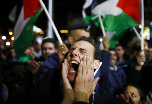 Palestinian Protester Palestinian Protester