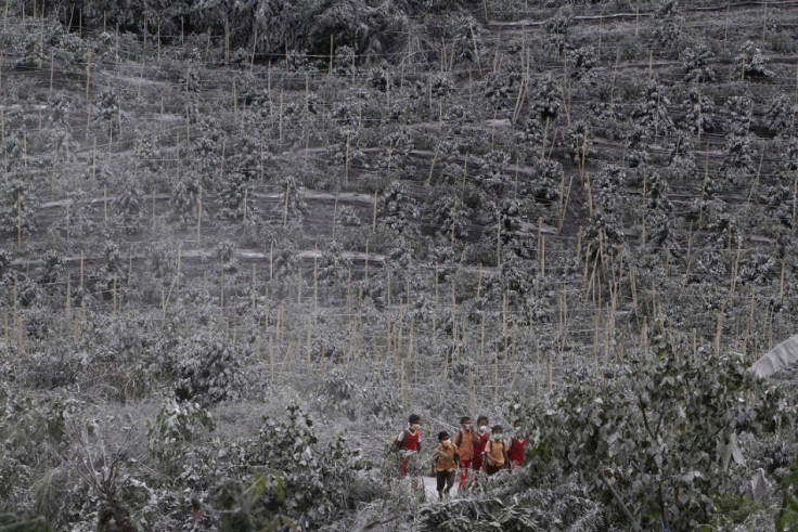 Sinabung