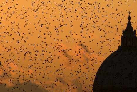 Austerity Leaves Rome Covered In Bird Poo
