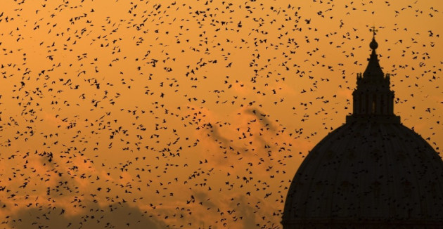 Austerity Leaves Rome Covered In Bird Poo Austerity Leaves Rome Covered In Bird Poo
