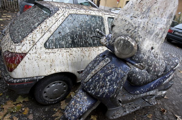 Starling deposits hit cash-strapped Rome Starling deposits hit cash-strapped Rome