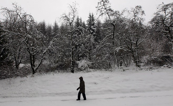 Parts of Scotland, Northern Ireland and Northern England have already seen up to 10cm of snow (Reuters)